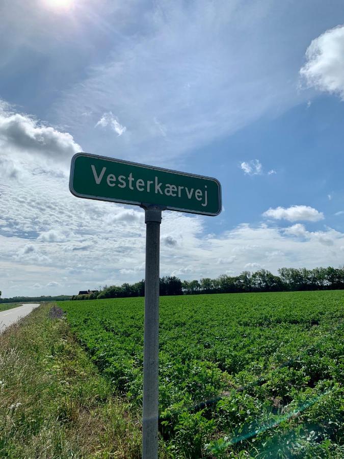 Hennebjerg Overnatning Stavso Dış mekan fotoğraf